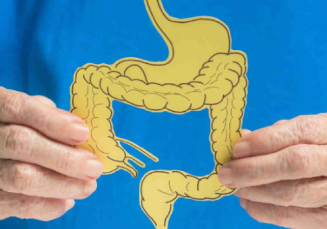 5 Natural Ingredients to Relieve Stomach Pain and Improve Digestion