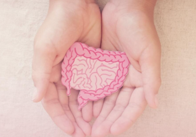 Best Natural Drinks for Upset Stomach Relief