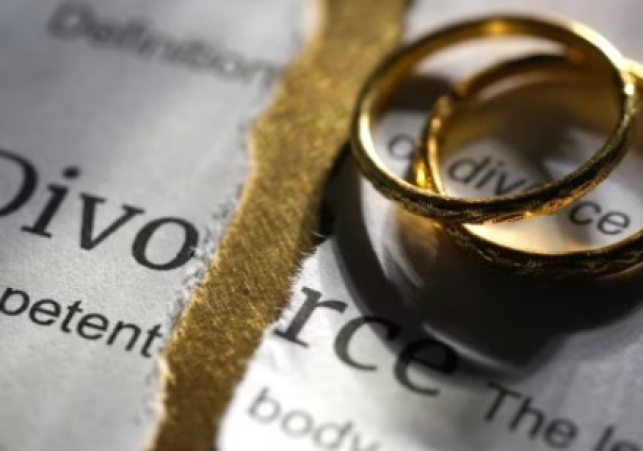 Delhi High Court Grants Divorce on Mental Cruelty: Husband Wins Under Hindu Marriage Act