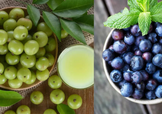 Amla vs Blueberry: Why Indian Gooseberry Is the Better Superfood