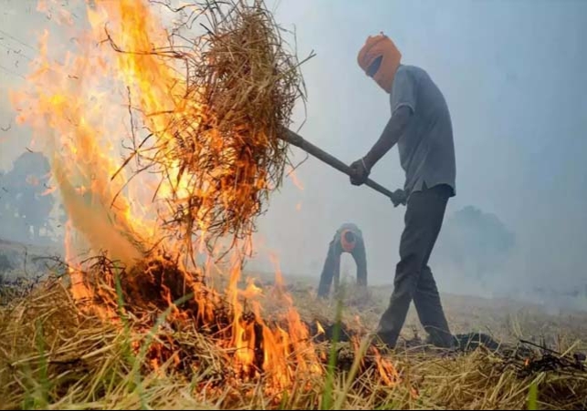 Haryana Government Imposed a Heavy Fine on the Farmers For Burn Stubble