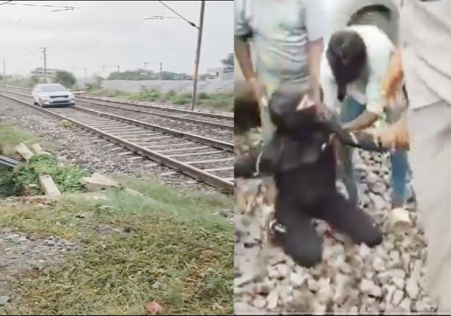 Telangana Girl Ran Car On Railway Track Viral Video