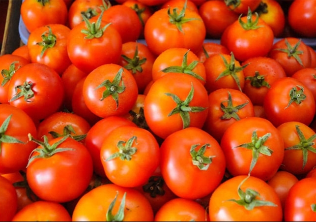  Karnataka Tomatoes Stolen News