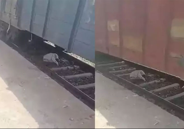 Train Passed Over Old Man Video Viral