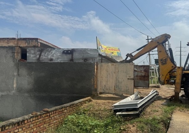 Yellow paw came into action in Rohtak