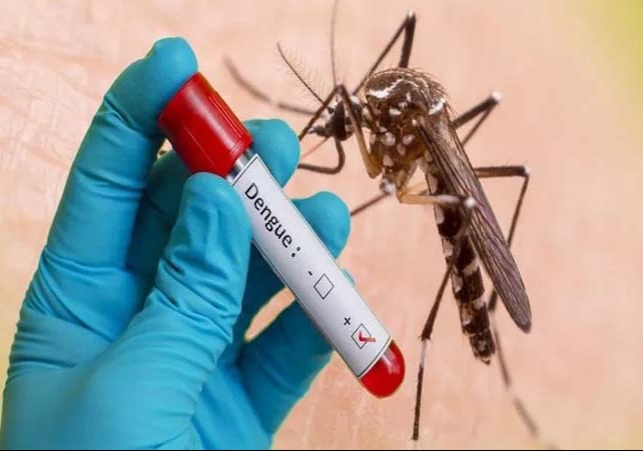 Above 50 Thousand Cases of Dengue Increase in Sri Lanka This Year