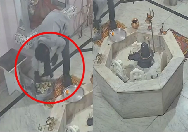 भगवान शिव के सामने से पैसे ले उड़ा चोर; CCTV में कैद हुआ हैरान करने वाला वाकया, वीडियो तेजी से हो रहा वायरल, यहां देखिए