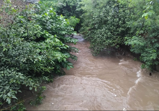 Zirakpur Dhakoli Heavy Rain Ghaggar Choe Water Level Increased