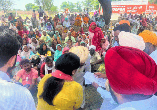 Cabinet Minister Dr. Baljit Kaur listened to the problems of MNREGA workers in village Lakhewali