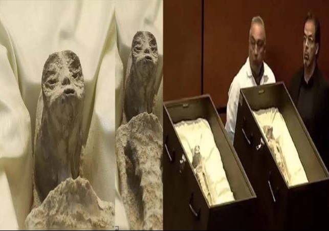 Mysterious Non-Human Alien Corpses Displayed At Mexico Congress