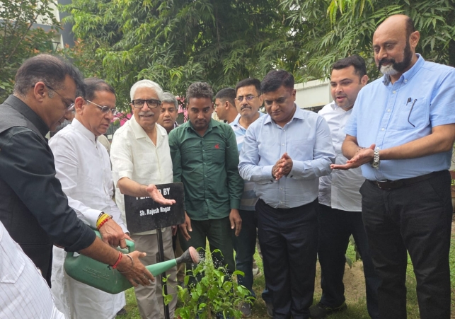 Tree Plantation Drive