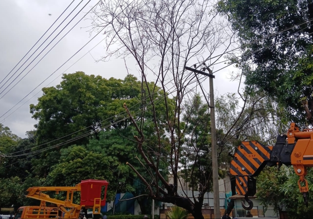 Chandigarh's Power Distribution Network