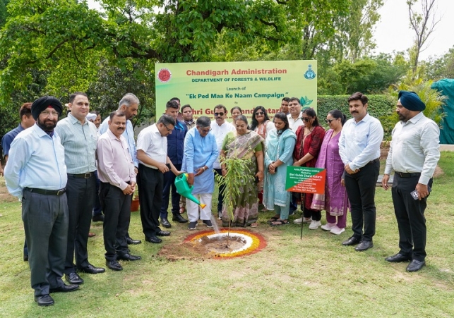 Tree plantation drive in Chandigarh-Panchkula