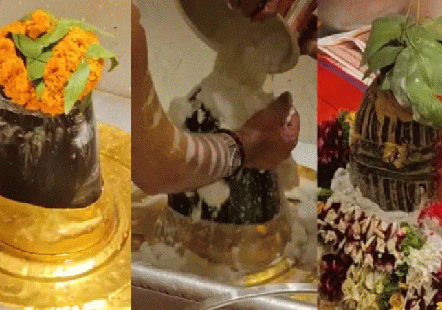 Over two lakh devotees visited Baba Vishweshwara