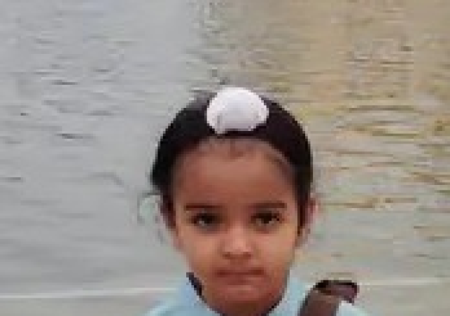 bachi
