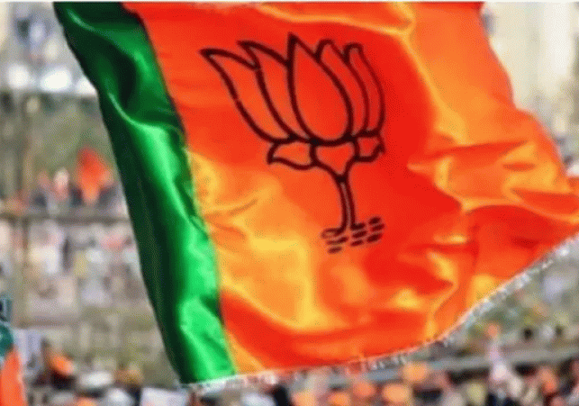 bjp-demo-pic-1773720173135_v
