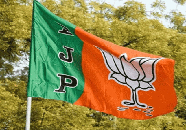 bjpflag