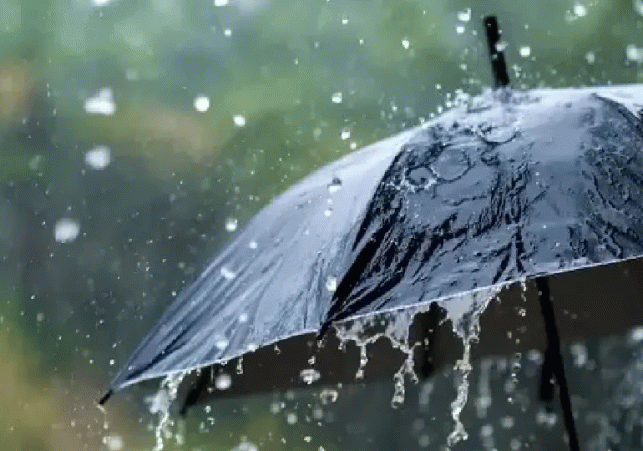 Weather Takes a Turn in the Tricity