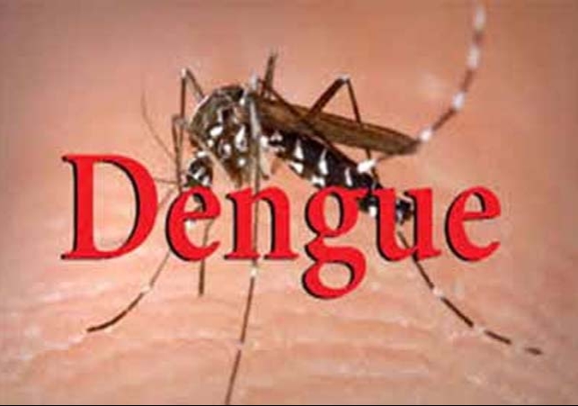 291 Dengue Case Increase in Ludhiana 