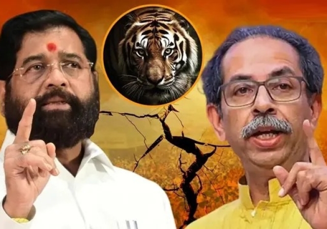 Impact of Operation Tiger in Maharashtra!