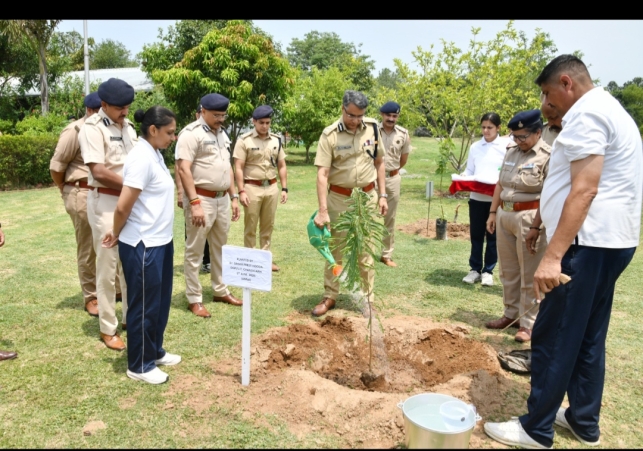 World Environment Day 2026