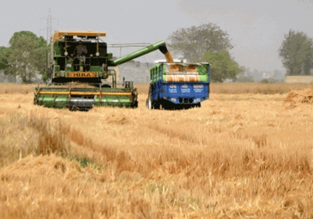 India's food grain production grew by 6.8 percent to over 1,663.9 lakh tonnes in FY 2025