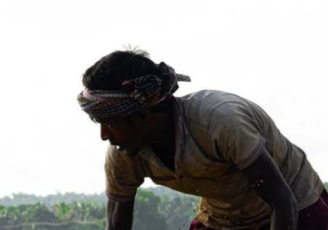 farmer