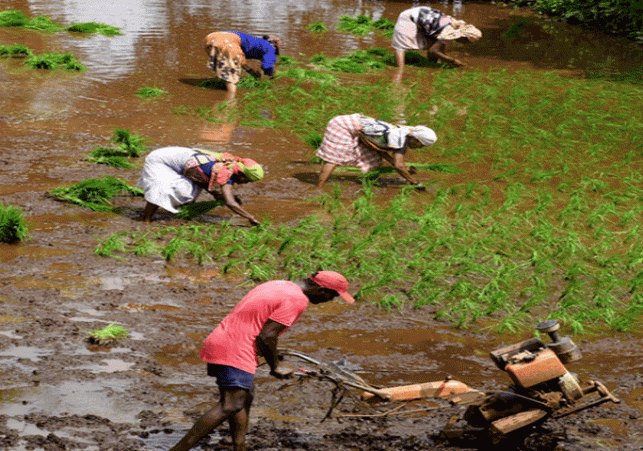 farmersCabinet approves interest subsidy on farmers' loans for FY 2025-26