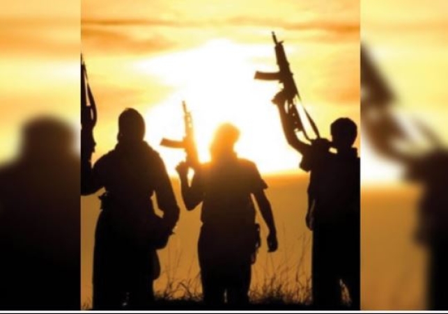 Terror Module Busted in Western UP