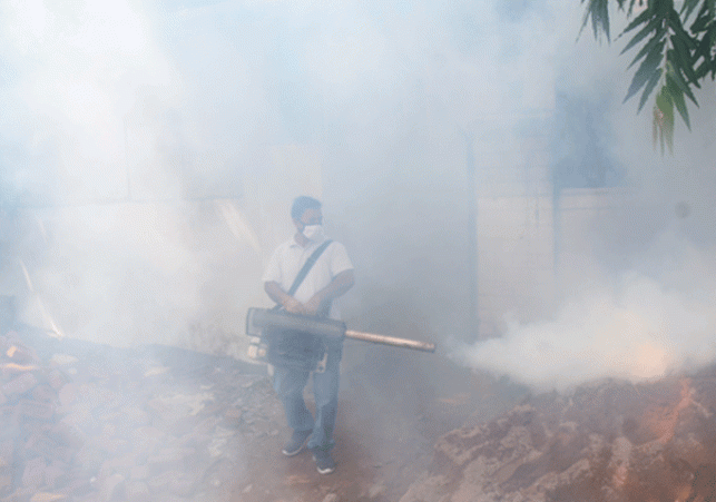 Dengue outbreak in Manipur