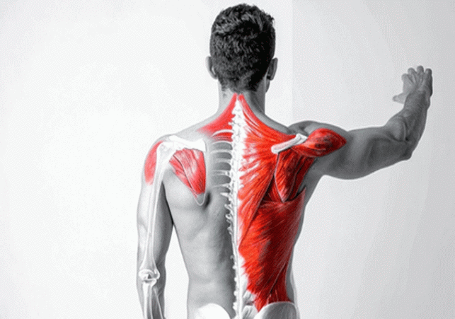 Working for long hours at the computer? You might have a frozen shoulder