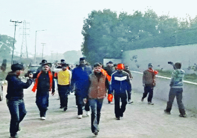 Strict action in cow slaughter case