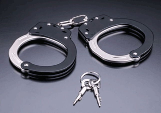 Woman accused of cheating people of more than Rs 5 crore arrested