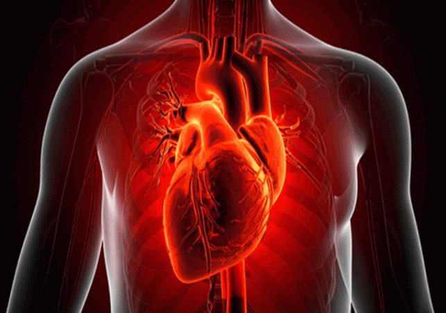 Bacterial infection can cause heart attack