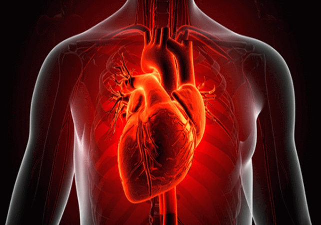 Heart disease, stroke and diabetes are the leading causes of death and disability worldwide