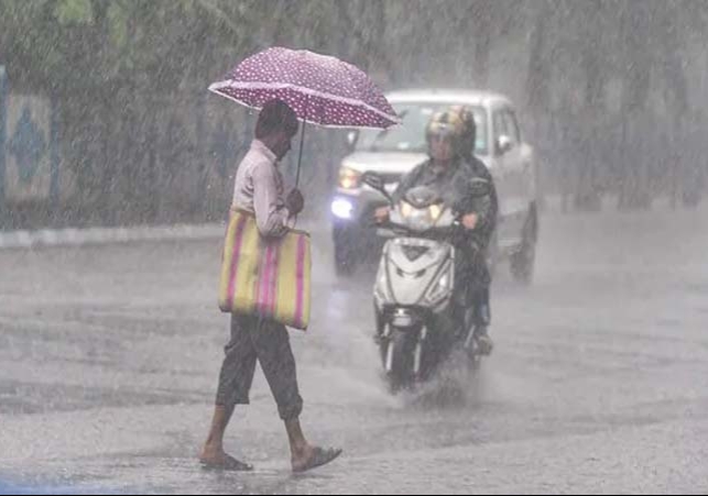 Heavy rains to occur in northwest soon IMD