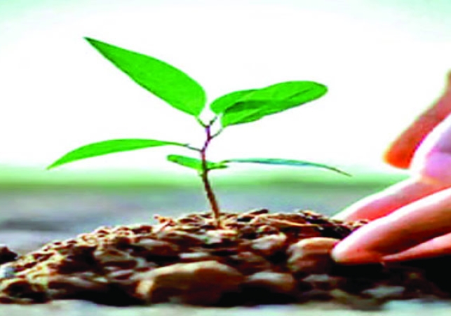 Himachal Rural Jobs
