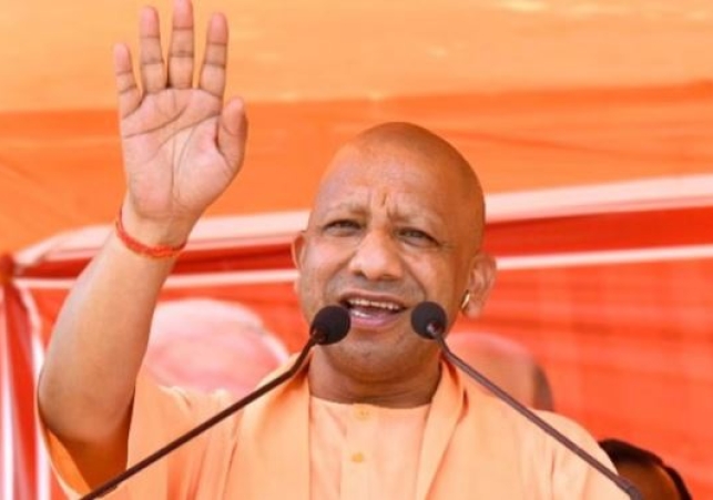 OBC youth have the largest share in the Chief Minister