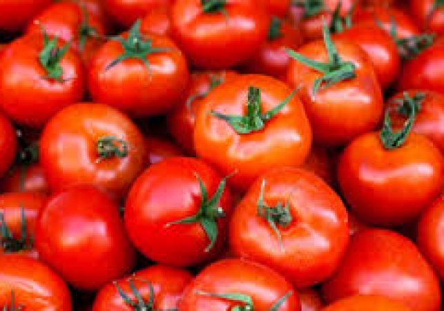 Tomato inflation on the other hand, Jairam Saini became a Miillionaire by Selling Tomatoes.