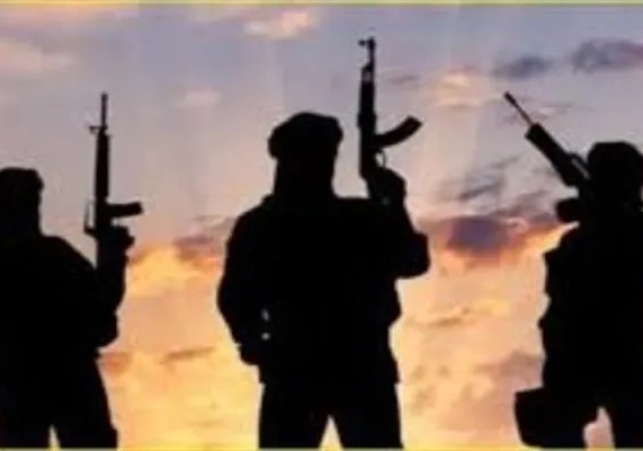 Delhi Police Busts ISIS Module
