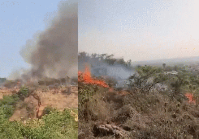 Massive Fire in the Aravallis