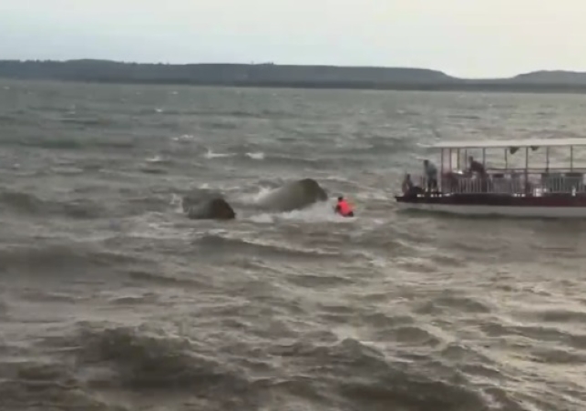 Cruise Sinks in Jabalpur's Bargi Dam