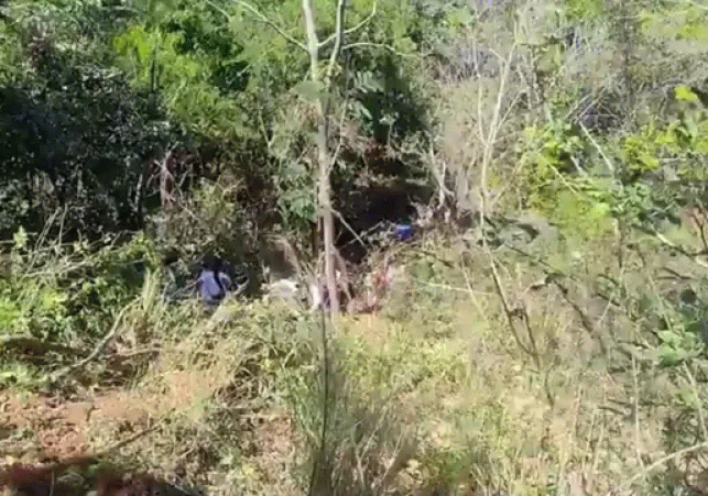 Tragic Road Accident: