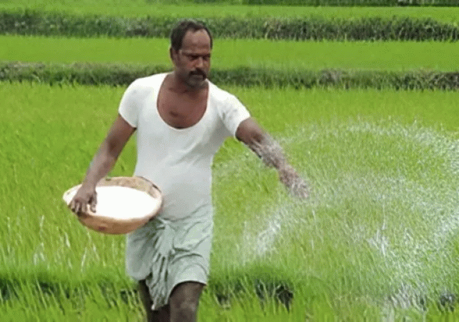 Krishi Panjika