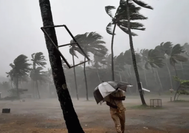 Monsoon gathers momentum