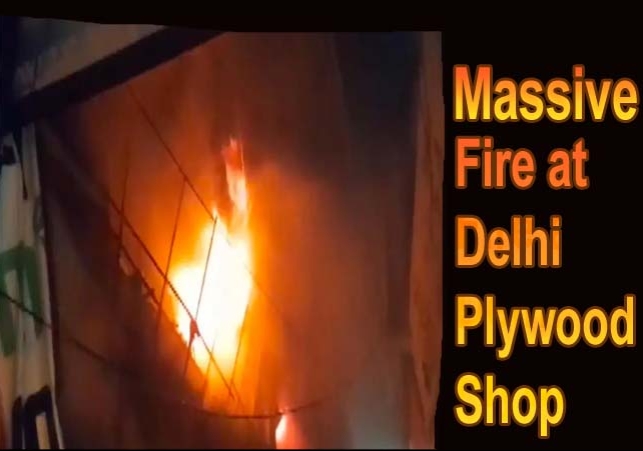 Massive Fire Breaks Out At Plywood Shop In Delhi 