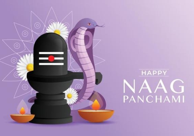 साल श्रावण मास के शुक्ल पक्ष की पंचमी तिथि को नाग पंचमी का पर्व श्रद्धा और आस्था के साथ मनाया जाता है।