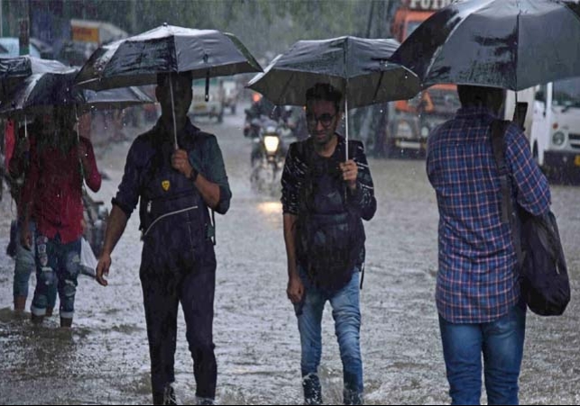 Weather Forecast Department Issued Rain Alert in Punjab 