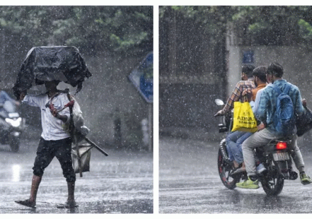 Weather Update: Nature Cold Strike Hits Delhi-NCR