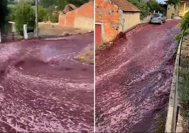 Red Wine River Flowed Through Portugal Town Streets After Factory Explosion